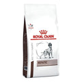 Alimento Royal Canin Veterinary Health Nutrition Canine Hepatic para perro adulto 10kg